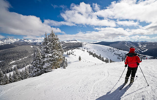 Coniferous forest covered by snow with skiing slopes in the foreground and Rocky Mountains in the background. This photograph was taken in Vail, Colorado.