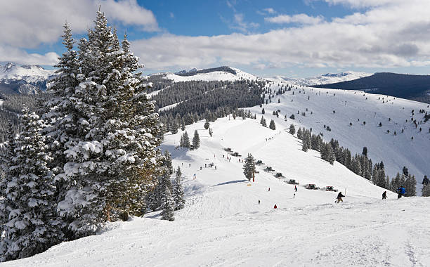 istock Winter Coniferous Forest Covered by Snow with Skiing Slopes 456027147