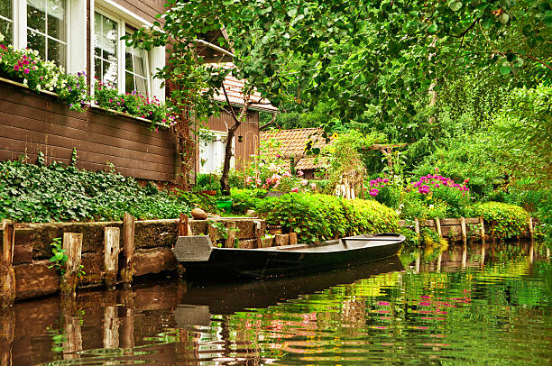 늙음 압살했다 배죠 분명한 강 spreewald/독일 - ecological reserve tree reflection land feature 뉴스 사진 이미지