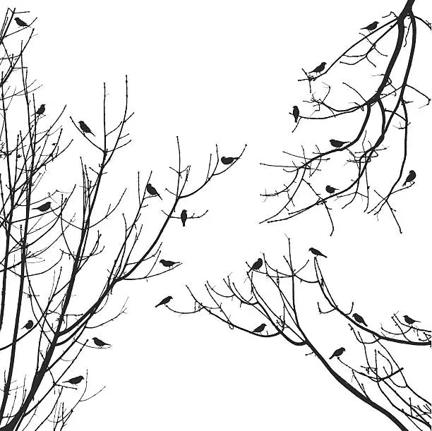 Vector illustration of vector sparrow flock on tree branches