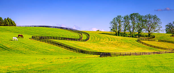 istock Horse farm fences 456043047