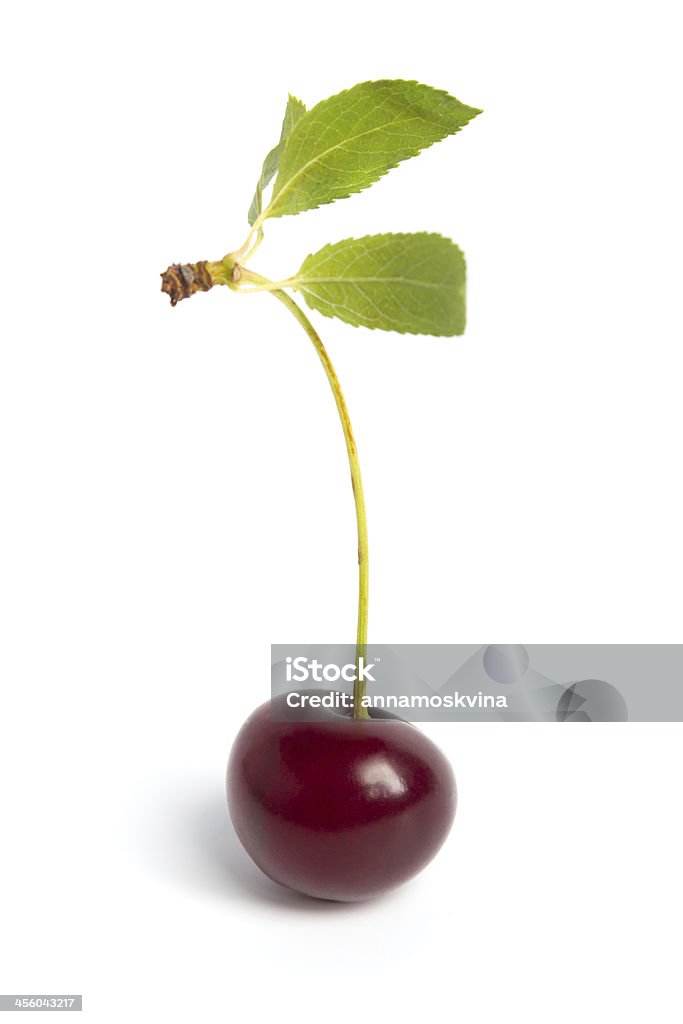 Cherry cherry Agriculture Stock Photo