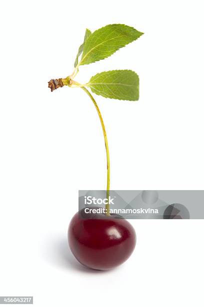 Cherry Stock Photo - Download Image Now - Agriculture, Circle, Close-up