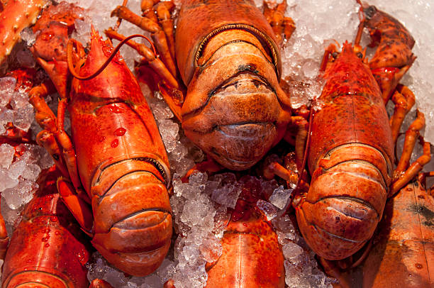 istock Norwegian Seafood. Fish market in Bergen 456048247