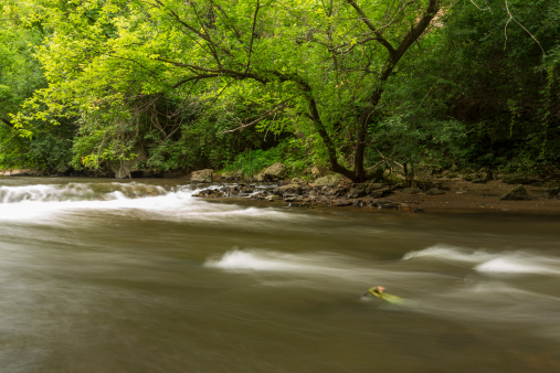 A flowing river in the woods.