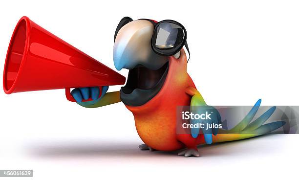 Fun Parrot Stock Photo - Download Image Now - Animal, Animal Wildlife, Beak