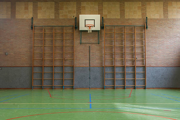 istock Interior of a gym at school 456061903