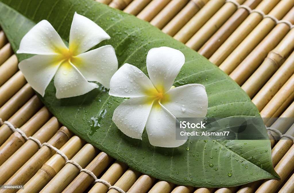 White frangipani with green leaf on bamboo mat Alternative Therapy Stock Photo