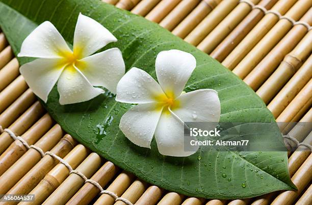 White Frangipani With Green Leaf On Bamboo Mat Stock Photo - Download Image Now - Alternative Therapy, Aromatherapy, Bamboo - Material