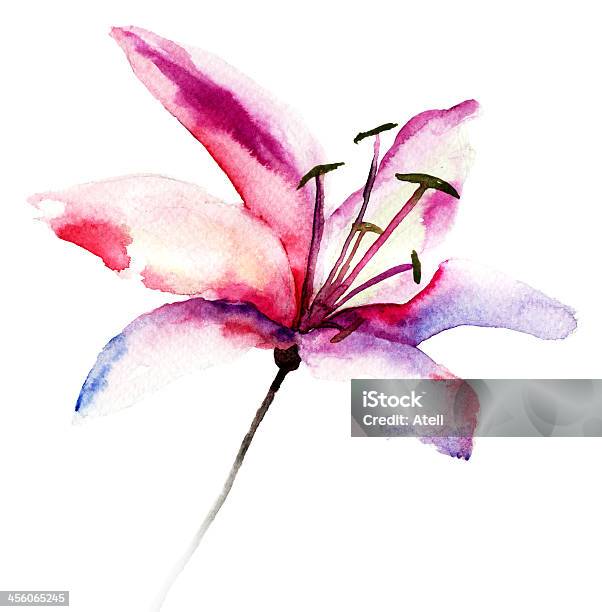 Beautiful Lily Flowers Stock Illustration - Download Image Now - Blossom, Flower Arrangement, Flower Head