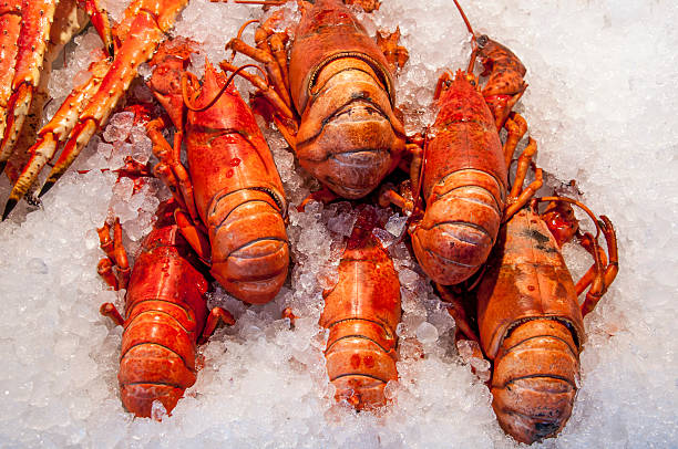 istock Norwegian Seafood. Fish market in Bergen 456066161