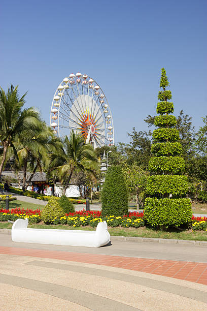 istock Ferris wheel in the park 456066713