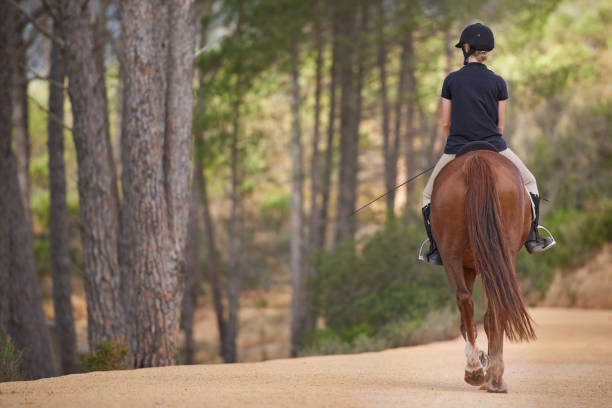 istock Enjoying nature with my steed 456067561