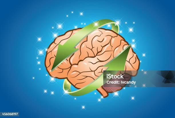Proteggere Il Cervello - Immagini vettoriali stock e altre immagini di Proteggersi - Proteggersi, Sistema nervoso, Anatomia umana