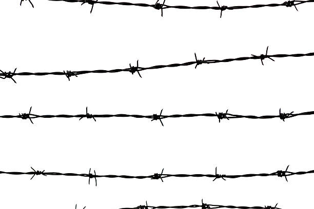 istock Lines of barbed wires against white background, copy space 456068849
