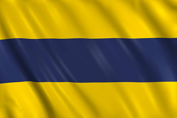 istock Nautical Signal Flag - Letter D 456072003