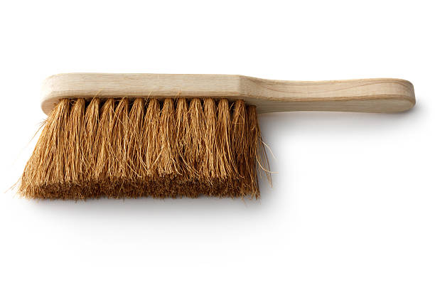 Clean: Dustpan Brush