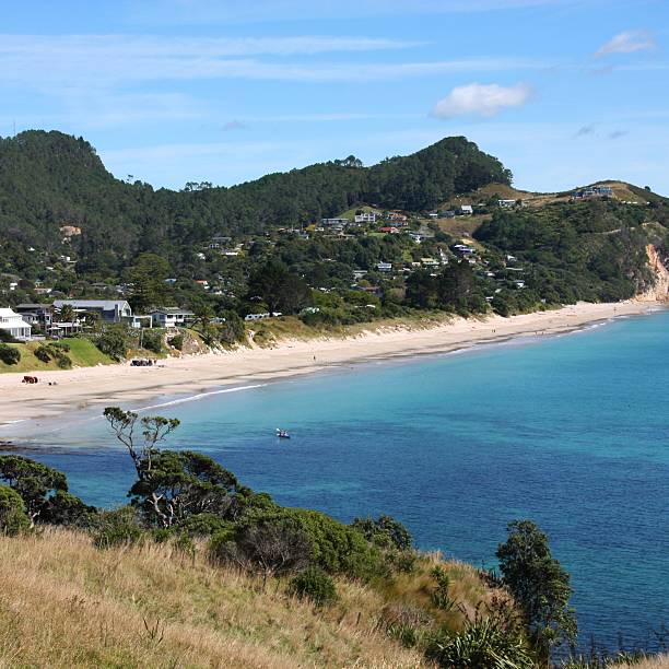 istock Coromandel, New Zealand 456075011