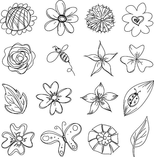 illustrazioni stock, clip art, cartoni animati e icone di tendenza di raccolta di fiori in bianco e nero - girasole di daisy