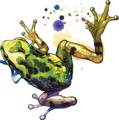 Vector illustration of wildlife- frog.