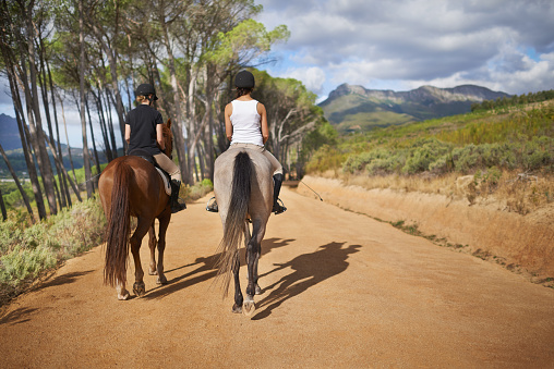 Rear-view of two women on horseback