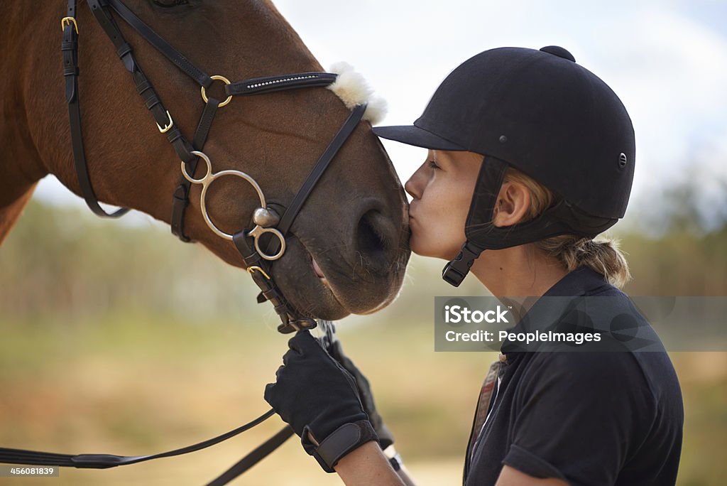 Il y a un lien entre le cavalier et cheval - Photo de Cheval libre de droits