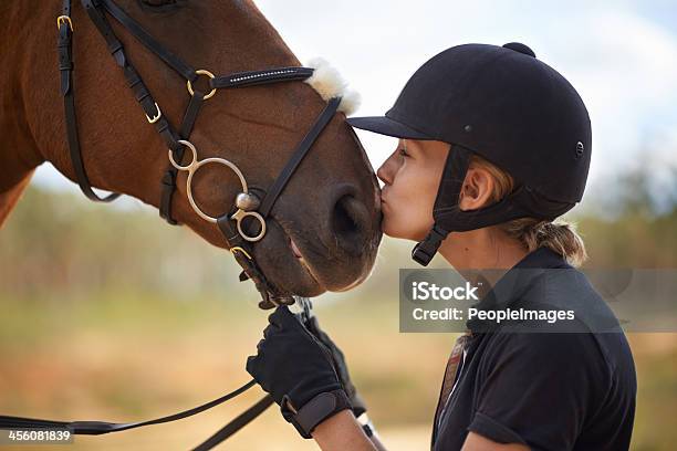 Photo libre de droit de Il Y A Un Lien Entre Le Cavalier Et Cheval banque d'images et plus d'images libres de droit de Cheval - Cheval, Monter à cheval, Sport