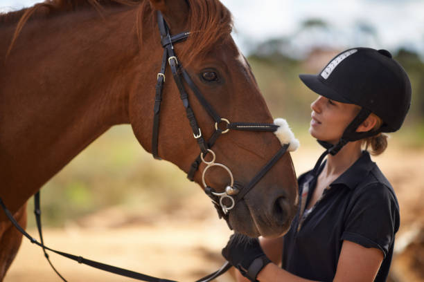 istock There is a bond between horse and rider 456082161