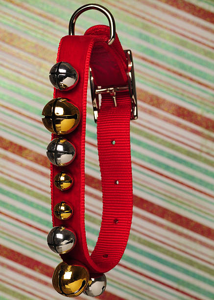 christmas dog collar stock photo