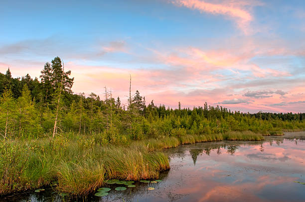 Northwoods Lake at dusk