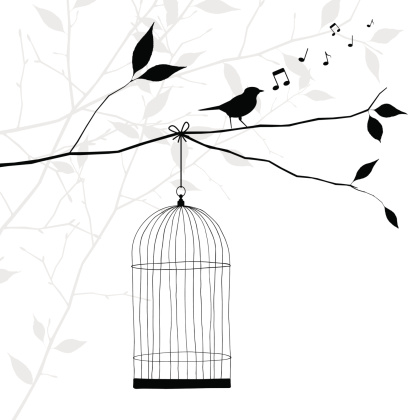 bird singing on tree branch - freedom concept