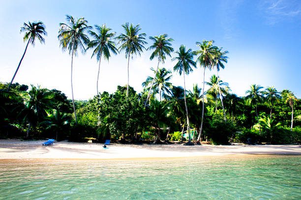 istock Holidays in Perhentian Islands 456091071