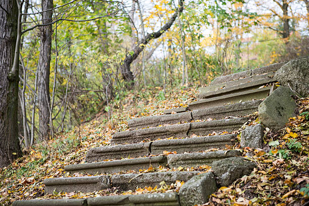 オールドストーン階段の秋 - footpath autumn stone old ストックフォトと画像