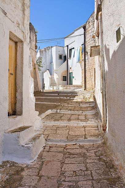 istock Mr Alleyway. Missive chicks. Apulia. Italy. 456101403