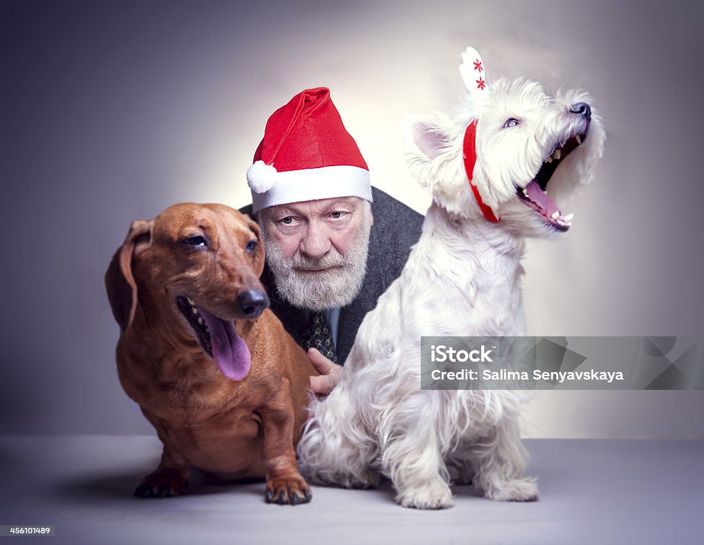 Santa com dois cães - Royalty-free Adulto Foto de stock