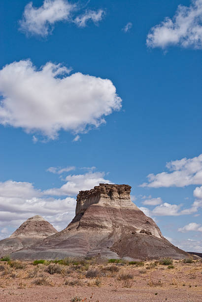 istock Arizona Desert and Mesa 456107693