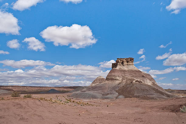 istock Arizona Desert and Mesa 456107787