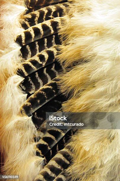 Warbonnet Stock Photo - Download Image Now - Indigenous Peoples of the Americas, Canada, First Nations of Canada