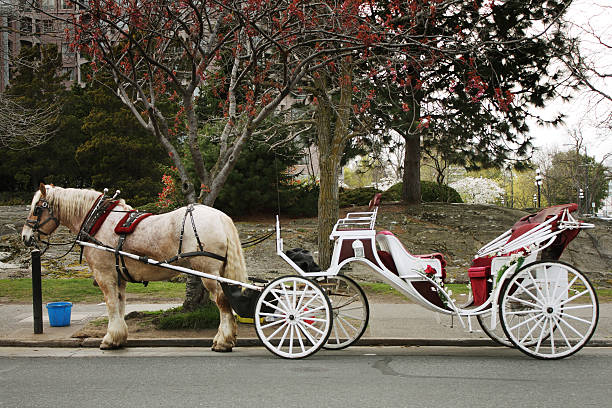 istock Horse and Carriage 456113501