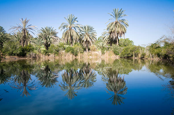 istock Neot kedumim, Israel 456113765