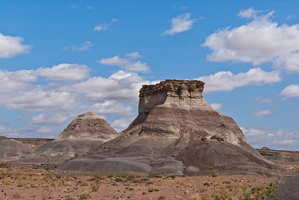 istock Arizona Desert and Mesa 456113953