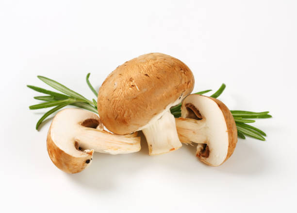Fresh brown mushrooms Fresh brown mushrooms - studio shot crimini mushroom stock pictures, royalty-free photos & images