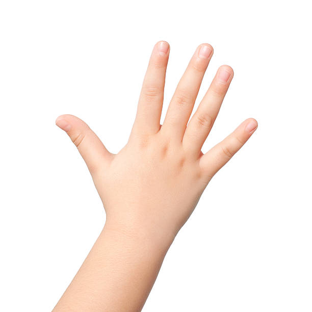 istock isolated child hand or palm 456133507