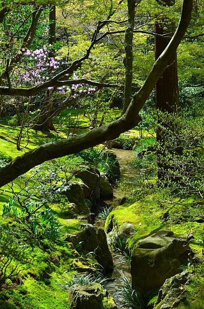 istock Forest of Japan 456215773