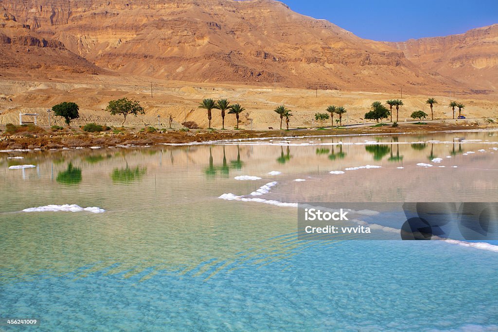 Dead Sea seashore Dead Sea seashore with palm trees and mountains on background Dead Sea Stock Photo