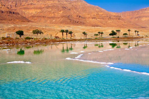 Dead Sea seashore stock photo
