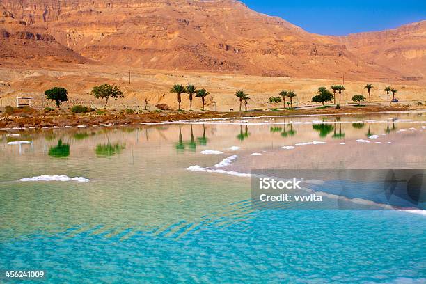 Dead Sea Seashore Stock Photo - Download Image Now - Dead Sea, Jordan - Middle East, Mud