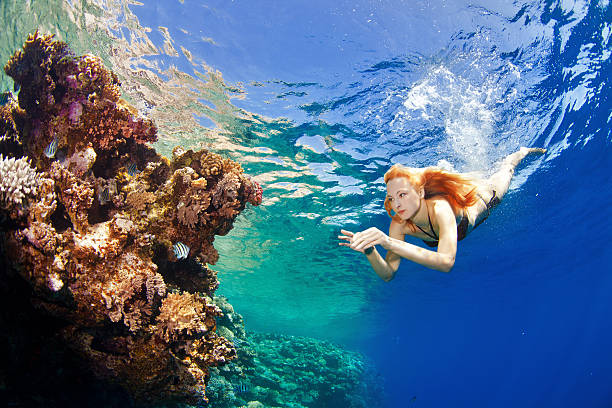 girl diving with corals stock photo