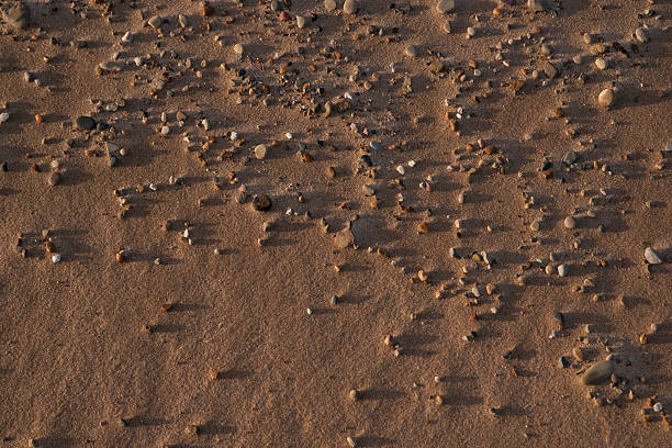 Piccolo pebles sulla sabbia - foto stock