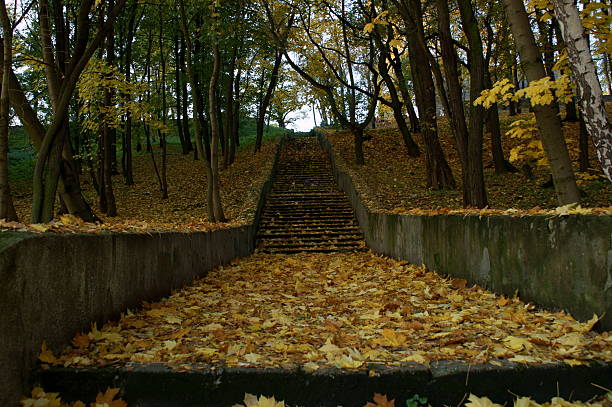 istock Jewish cemetery in Bedzin, Poland 456503363